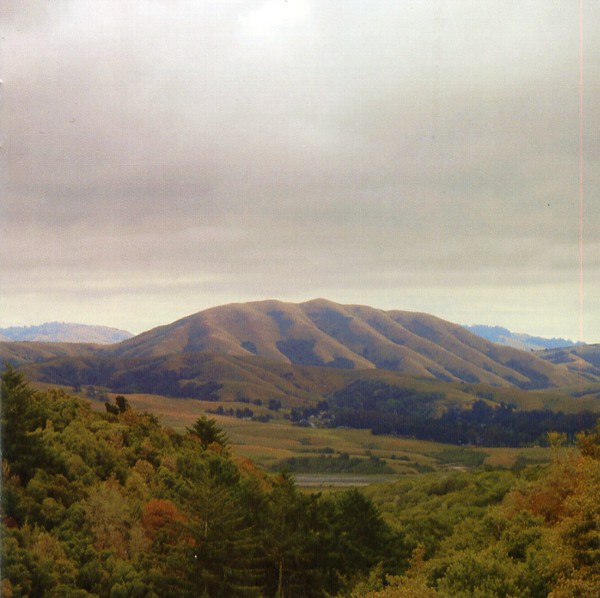 MOUNT WITTENBERG ORCA／DIRTY PROJECTORS+BJORK