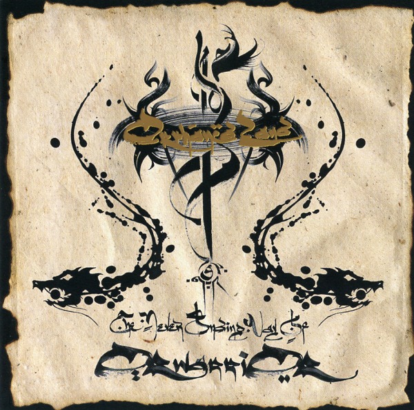 THE NEVER ENDING WAY OF ORWARRIOR