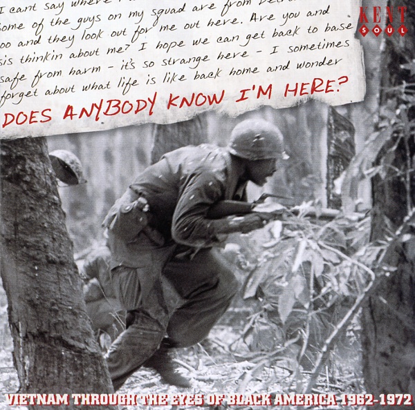 DOES ANYBODY KNOW I'M HERE? VIETNAM THROUGH THE EYES OF BLACK AMERICA 1962-1972(VOL 2)