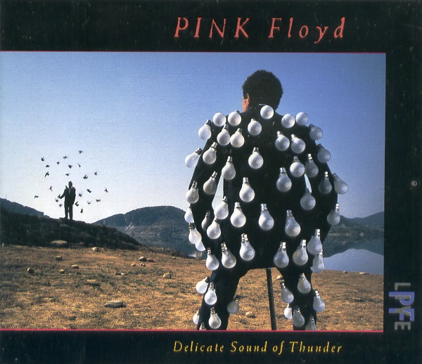 DELICATE SOUND OF THUNDER