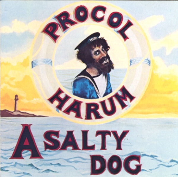 A SALTY DOG
