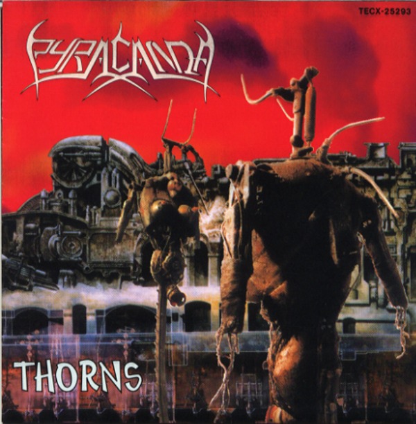 THORNS／PYRACANDA