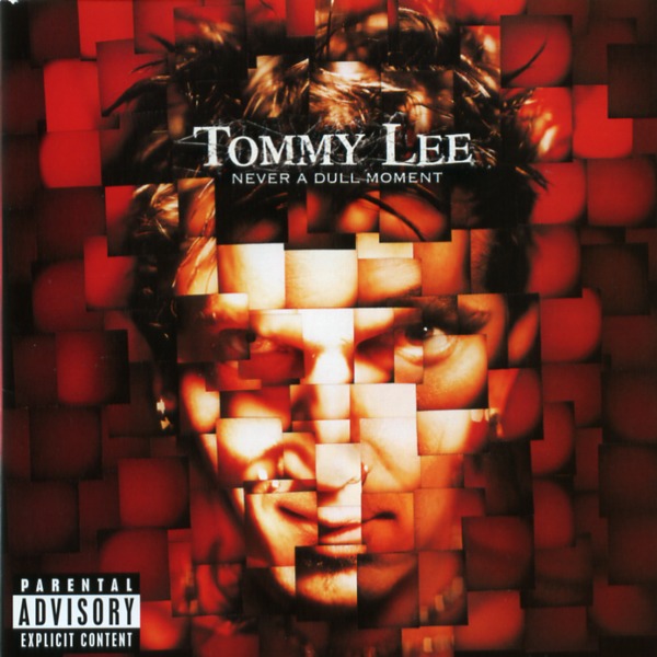 NEVER A DULL MOMENT／TOMMY LEE