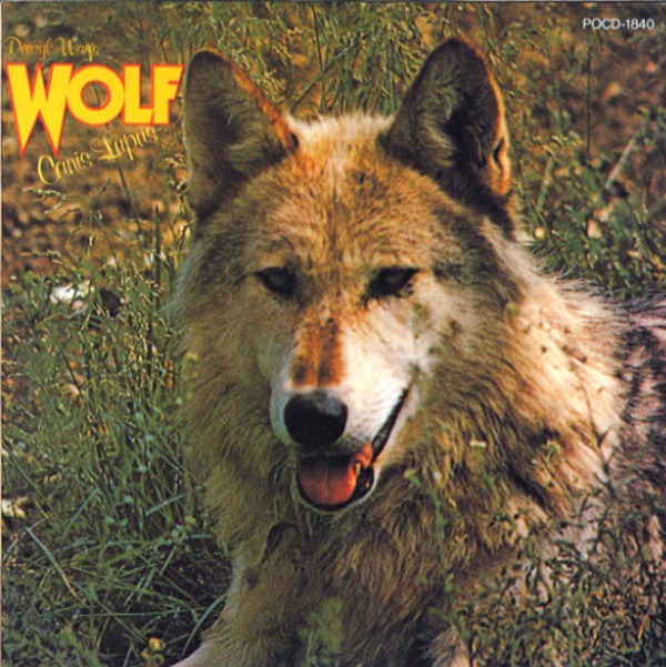 CANIS-LUPUS／DARRYL WAY’S WOLF