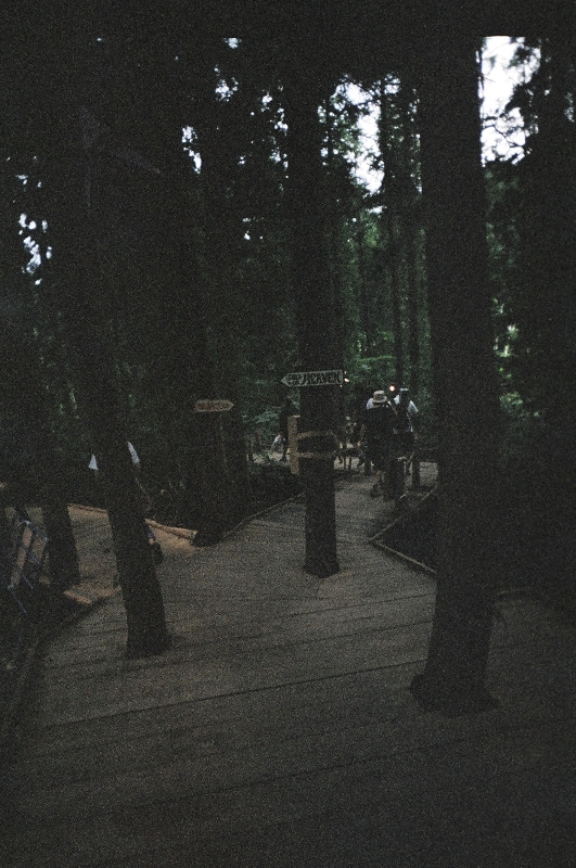 自然を痛めないように、木を切らず、ボードに穴を空けて設置されています。木をよけるため直角に曲がっているところもあります。03年まではホワイト・ステージ手前からオレンジ・コート直前までの一本道でしたが、04年にはフィールド・オブ・ヘブンへの分岐路ができました。