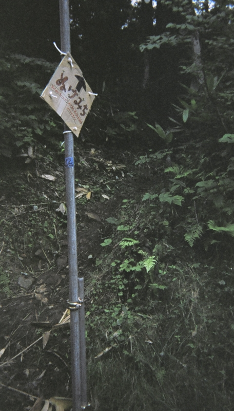 アバロン・フィールドのNGOビレッジとオーガニック・ビレッジを結ぶ抜け道。 