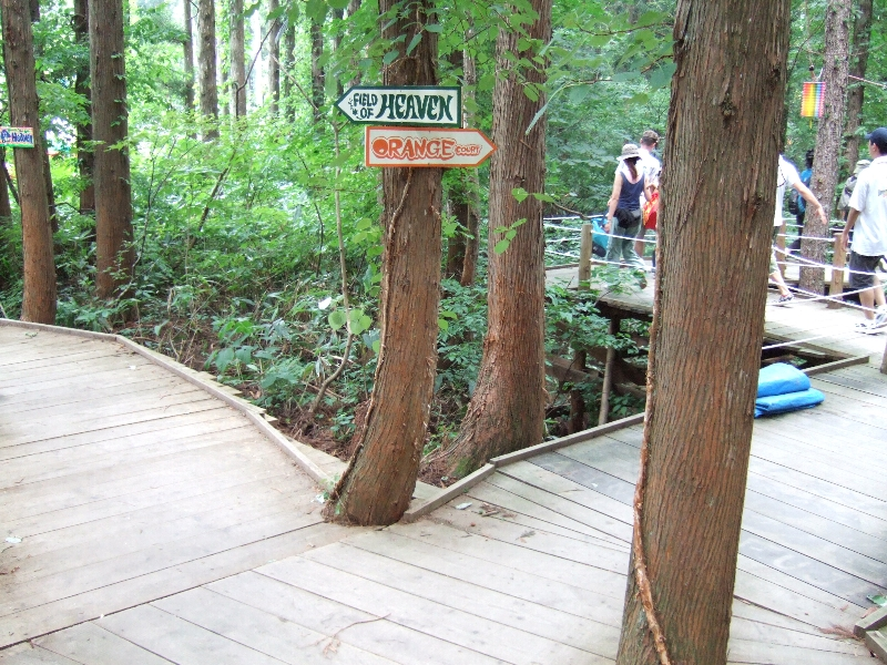 フィールド・オブ・ヘブンとオレンジ・コートの分岐点。