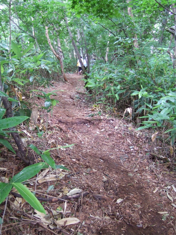 レッキング・ブーツが活躍しそうな道。06年にはボードウォークが延長されているかもしれません。