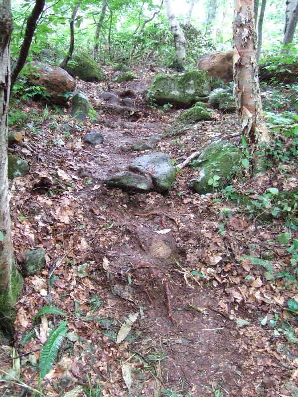 仮にボードウォークを設置したとしても、こう配が大きすぎて車いすで通過するのは難しいだろうと思われます。