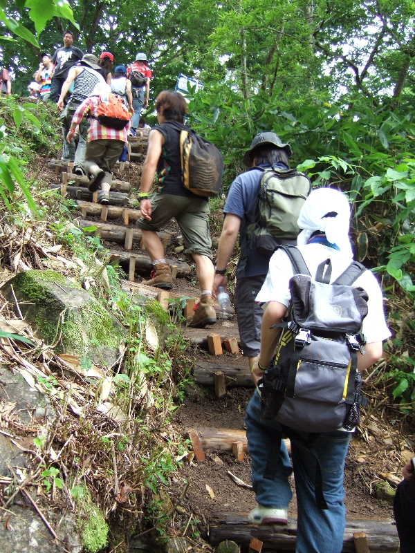 階段の途中で湧水もあるので、見た目よりは滑りやすい。