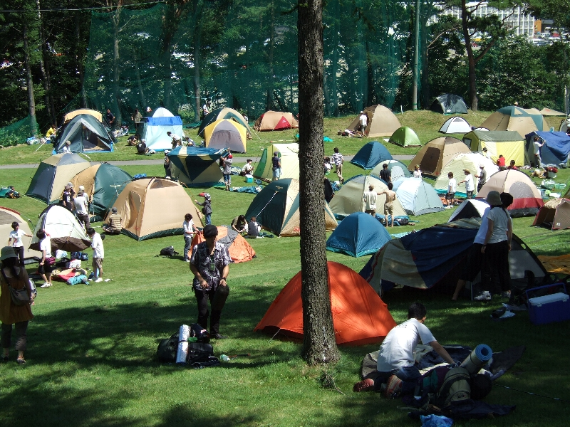 木陰は涼しいが、落雷の危険もあります。