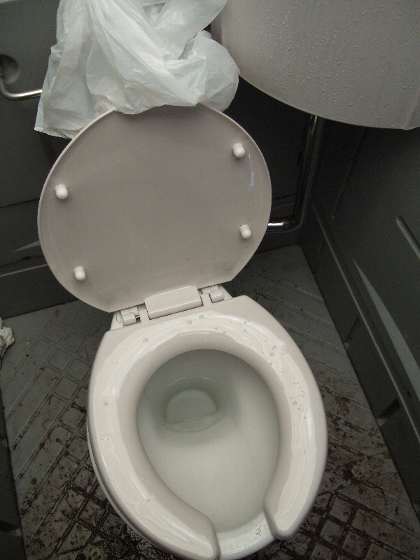 便座が濡れているのは上から手洗い用の水が飛び散ってくるから。それくらい狭いということです。