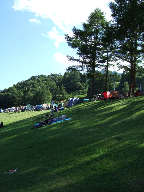 AサイトとBサイトの間にある木陰。落雷の危険を考えれば、Aサイトにテント設営し、木陰で涼をとるのがいいのかもしれません。