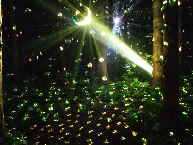 夜になるとミラーボールが照らされ、そのミラーボールが風に揺れて森全体が揺れているような感覚になります。