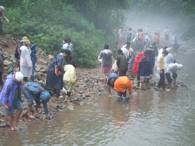 雨が降るともやがかかります。