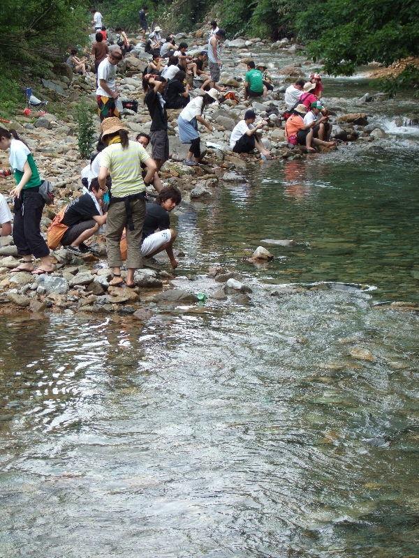 晴れているときの浅貝川。