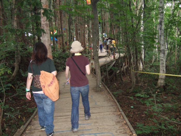ボードウォークを進んでいくと木々が密集し、暗くなっていきます。