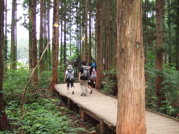 フィールド・オブ・ヘブン近くになると再び明るくなります。