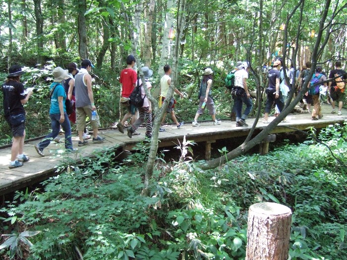 行列をなす人。