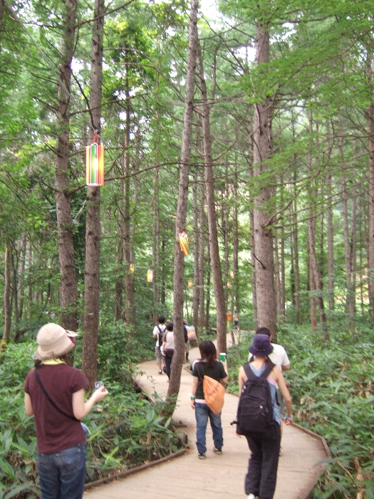 入ってすぐのところは景色がまだ明るい。 