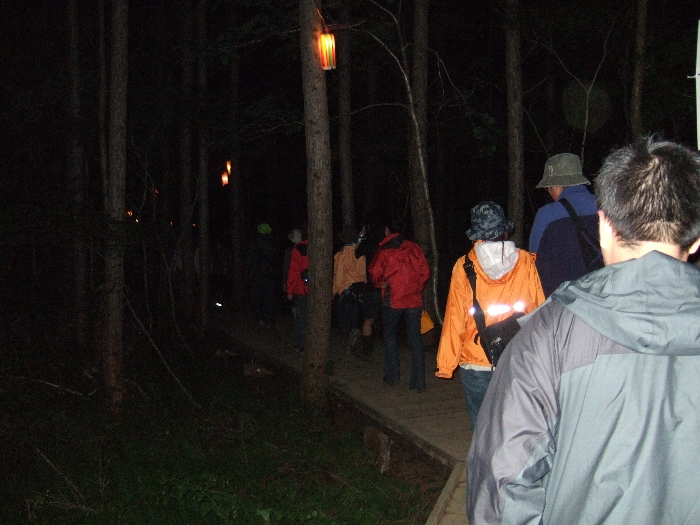 ライトを持たないと歩けないほどではありませんが、夜なので当然暗い。