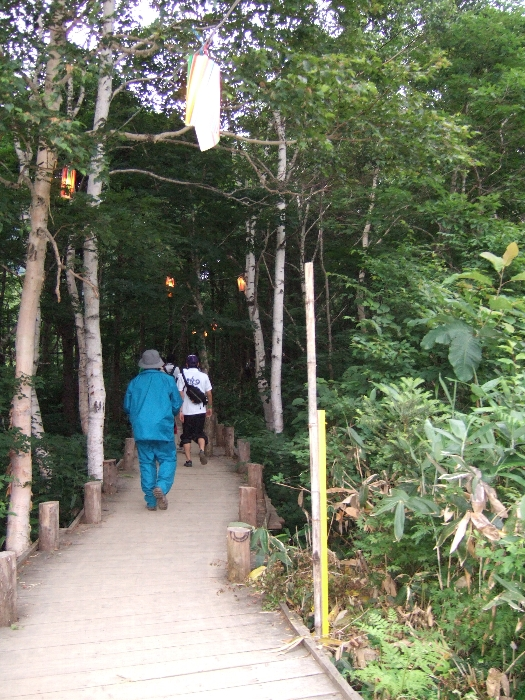 昼でも照明がついていました。