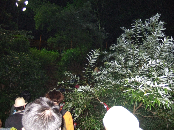 橋から。比較的明るいライトが設置されているのでこのあたりは明るい。