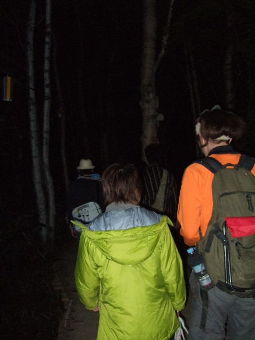 照明はあってもつかないことがあります。