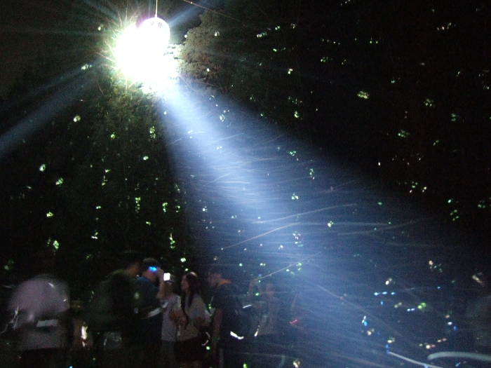 右下のライトのそばから撮影。