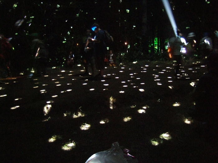 アバロン・フィールド付近の通路。