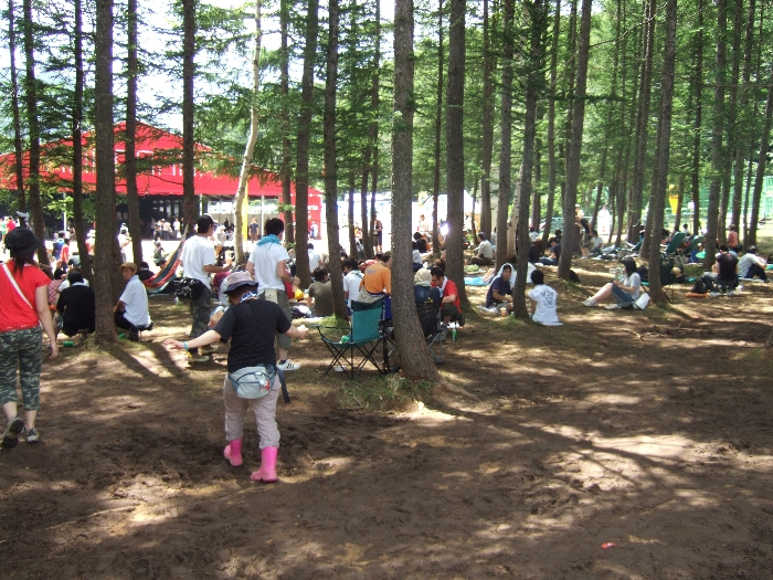 ワールド・レストランとレッドマーキーの間にある林。いすやレジャーシートは自分で準備した方がいいでしょう。