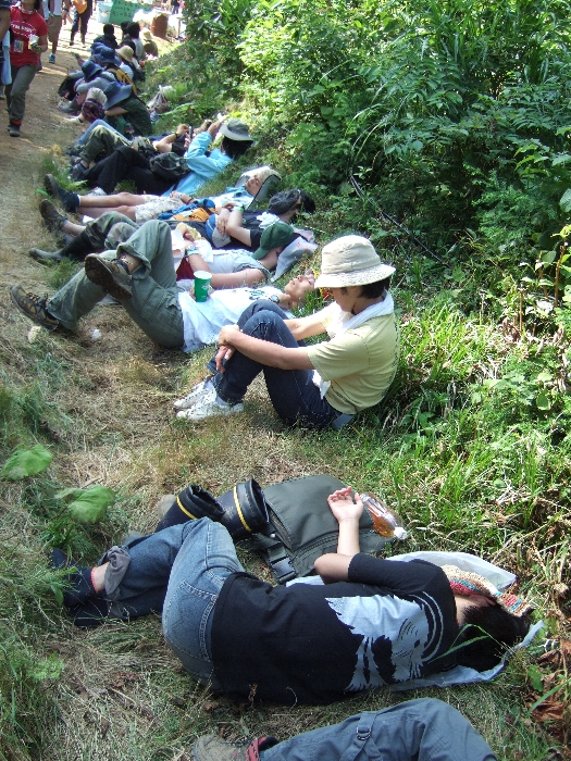 どこなのか分かりませんが、いたるところで見られそうな光景です。