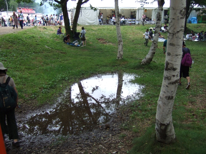 雨が降らなくても水がたまっている窪地。