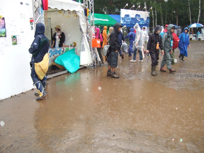 雨が降ってかなり大きな水たまりができています。
