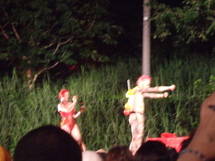 パレス・オブ・ワンダーのパフォーマンス。人間の体に風船をくっつけていますが、本物のホッチキスで直接皮膚に固定されます。それを観客に見せたあと、本物のダーツの矢で体を突き刺し、風船を割っていきます。見た目にはかなり痛そうなパフォーマンス。 