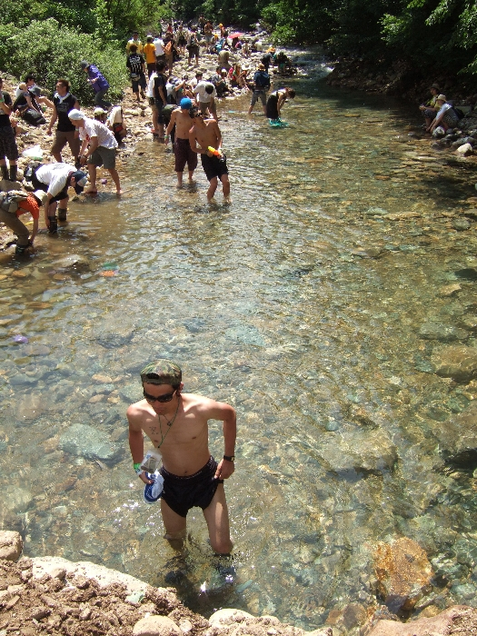 泳ぐ人は毎年います。 