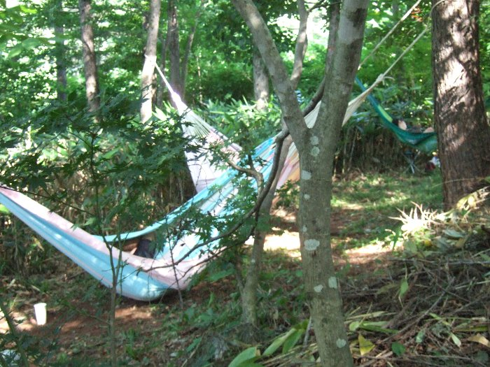 いつ通ってもだいたい人が寝ています。