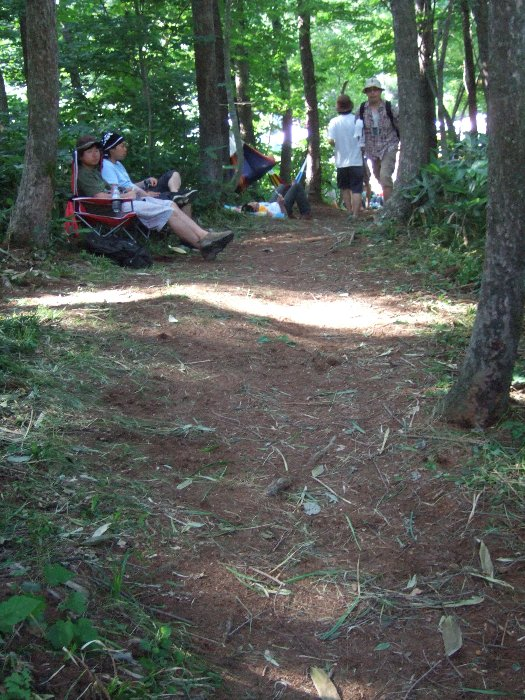 通路はおおむね日陰です。 