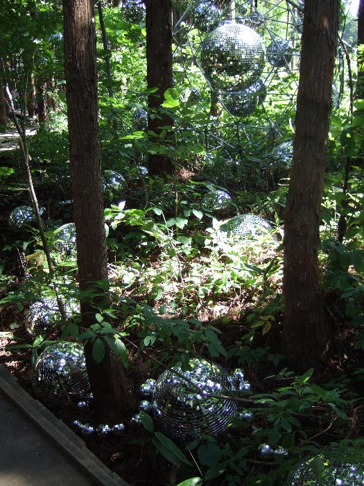 この辺りは夜になると光が当てられます。