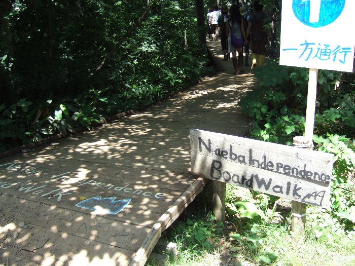 このボード・ウォークは常設で、本来は足の不自由な人や車いすの人が苗場の緑を探索するための道です。設置作業は地元の人やフジロックフェスティバルの参加者などがボランティアでやっています。