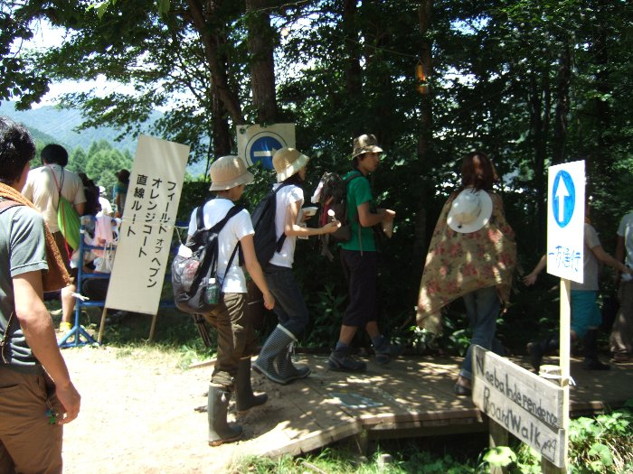 ところ天国とホワイト・ステージの間にあるボード・ウォーク入り口。向かい側にはグリーン・ステージ方面へ行く道の入り口もあります。この道を通る最大の利点は、坂を上り下りせずにフィールド・オブ・ヘブンとオレンジ・コートに行けることです。