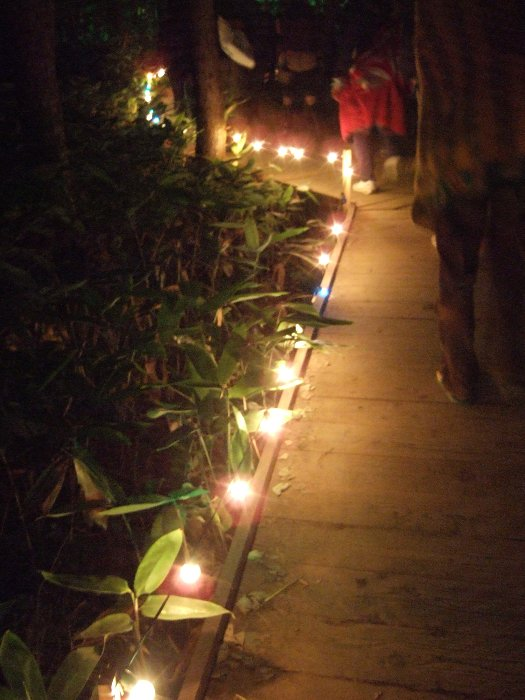 ボードウォークは夜も比較的明るく、真っ暗ということはありません。ただ、ライトは持っていた方がいいでしょう。 