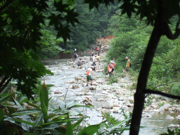 奥に見えるのはところ天国とホワイト・ステージを結ぶ橋です。