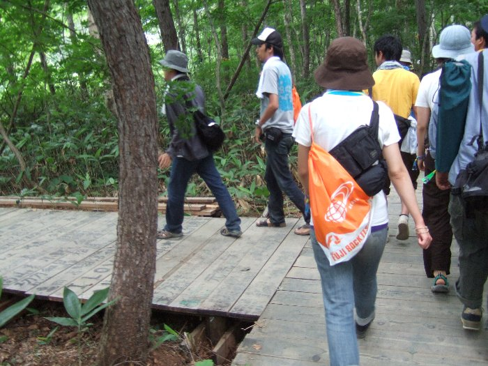 途中でボードウォークが分岐します。