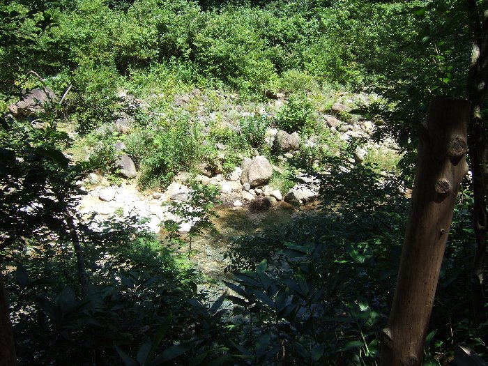 グリーン・ステージ側は特に見るべき物はありませんでした。