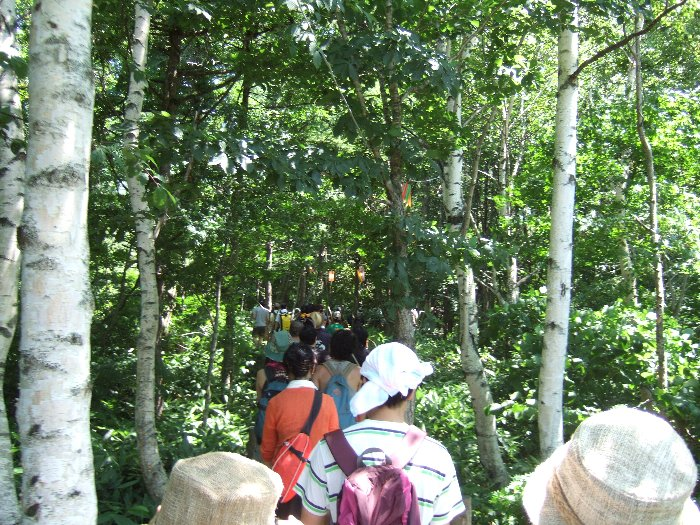 森の中へ突入。 