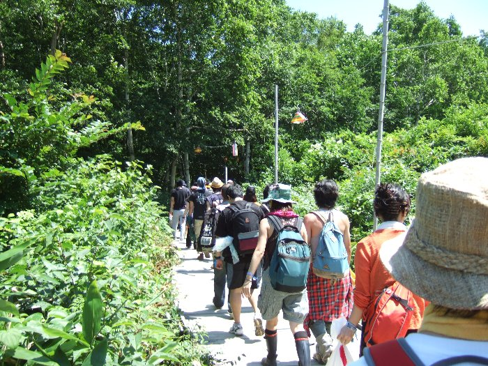 途中から森の中に入っていきます。この辺の景色は例年同じです。