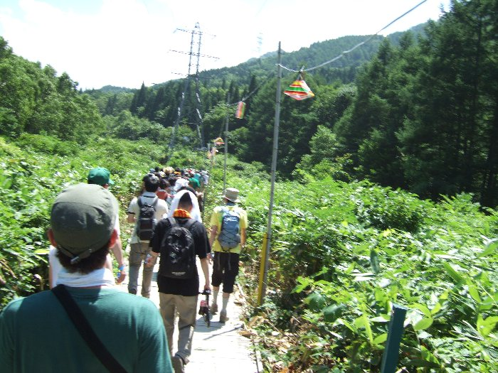 数十メートルまでは明るい緑が続きます。