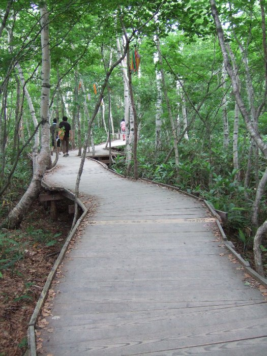北行きと同じように蛇行するルート。 