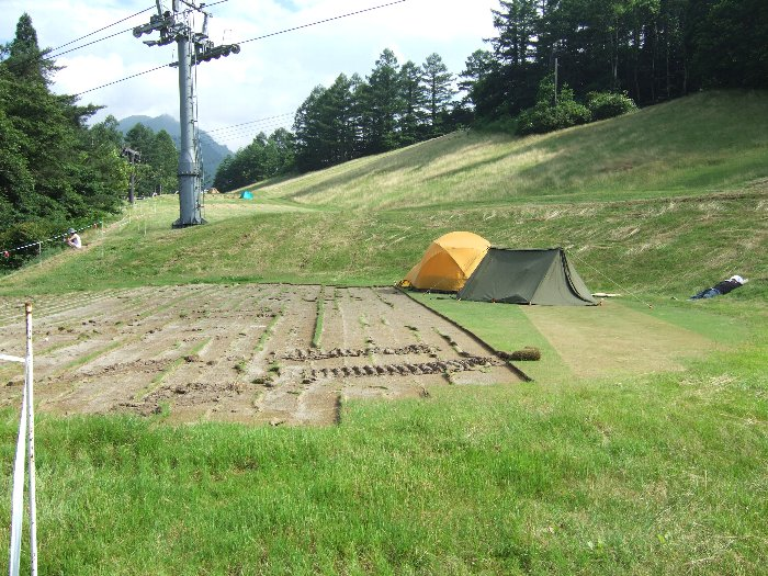 グリーンの上でも芝張り替え中なら設営してもいいのだろうか。